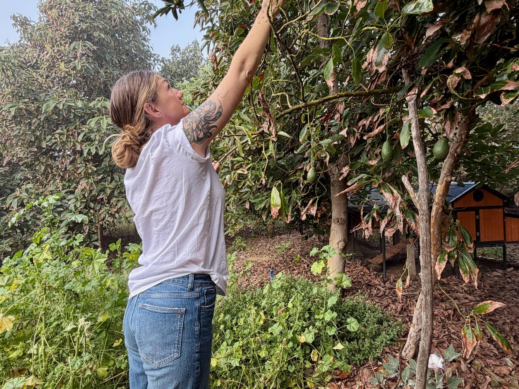 Sands with rescue animals on the grounds of Zephyr Mountain Farm Sanctuary