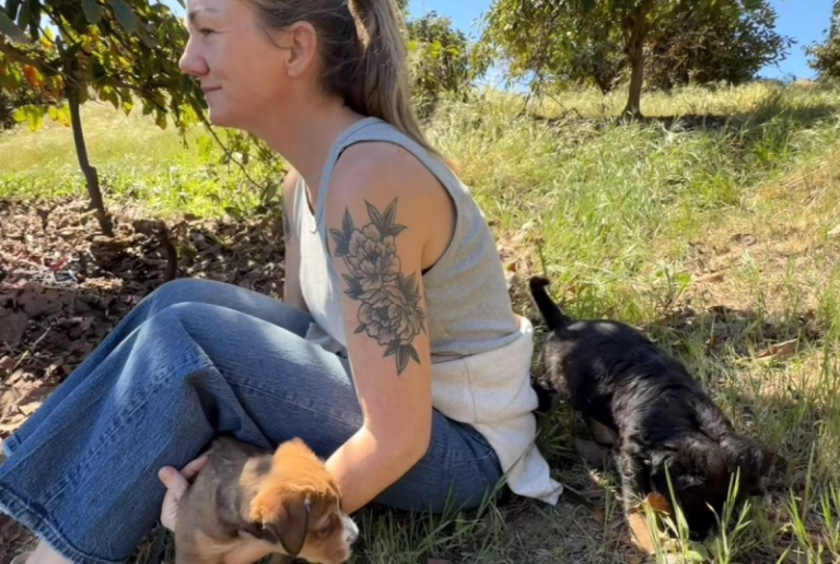 From Seatbelt Handbags to Session Notes: How Nicole Sands Built the ABA Industry’s Go-To Bookkeeper