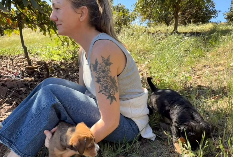 From Seatbelt Handbags to Session Notes: How Nicole Sands Built the ABA Industry’s Go-To Bookkeeper