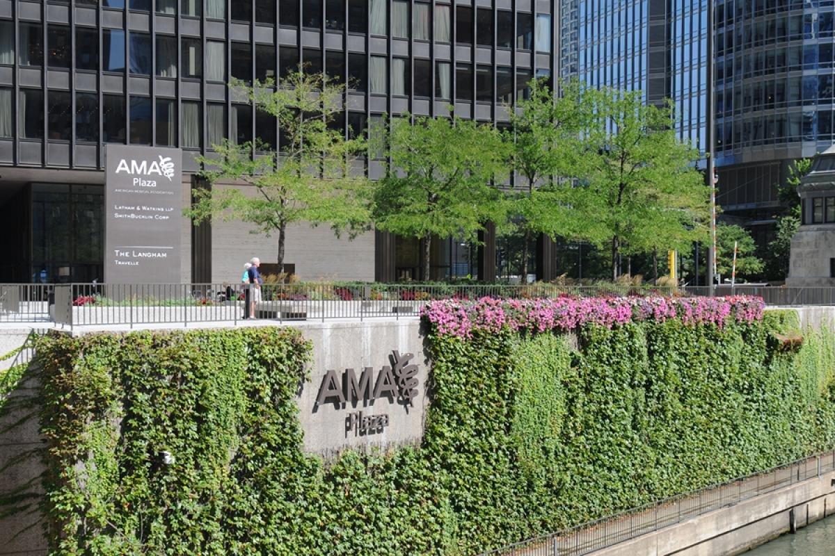 AMA Plaza in Chicago, headquarters of the American Medical Association