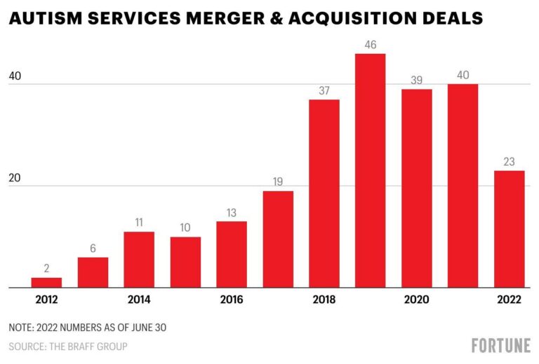 Private Equity Acquires Over 500 Autism Centers in Ten Years