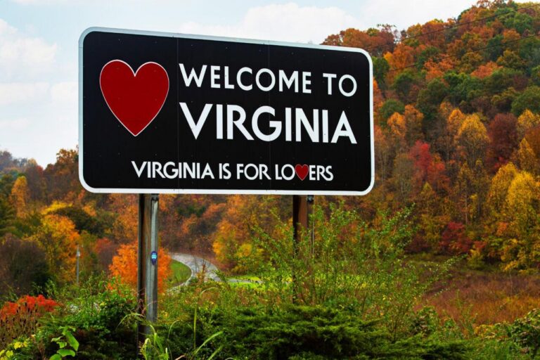Virginia Caps Medicaid ABA Hours a Year After Raising Rates